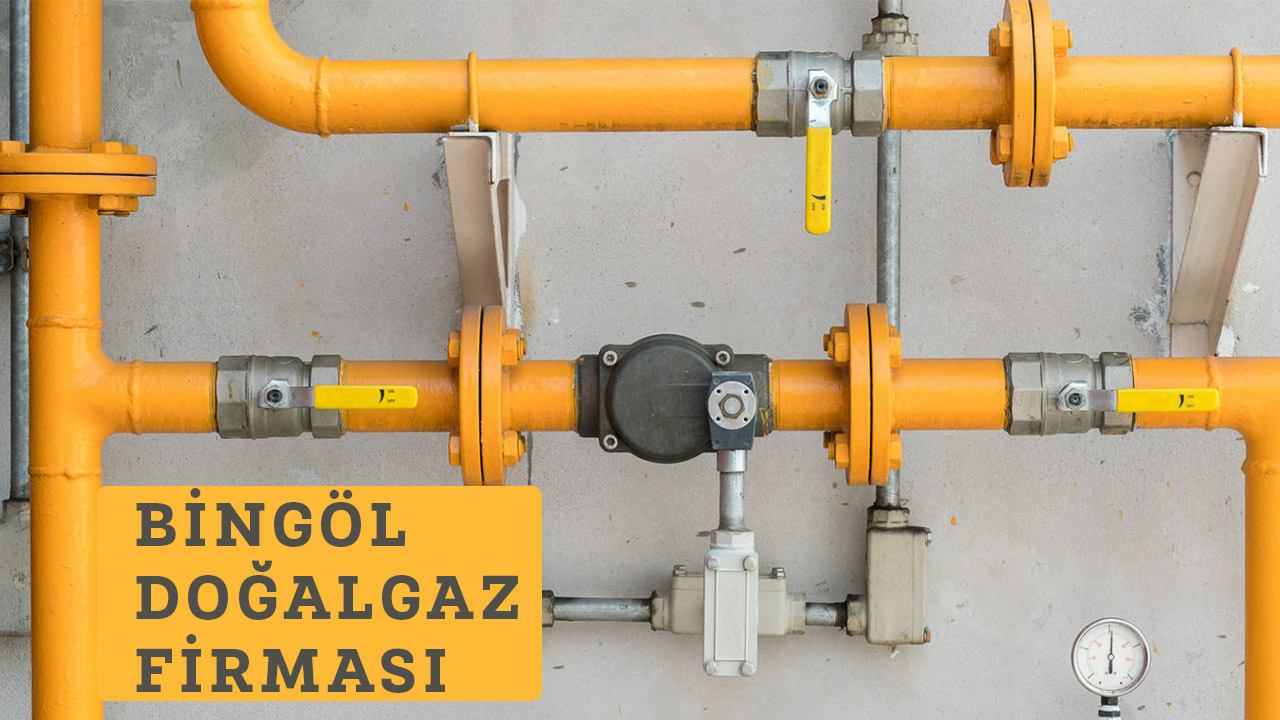 Bingöl Doğalgaz Firması