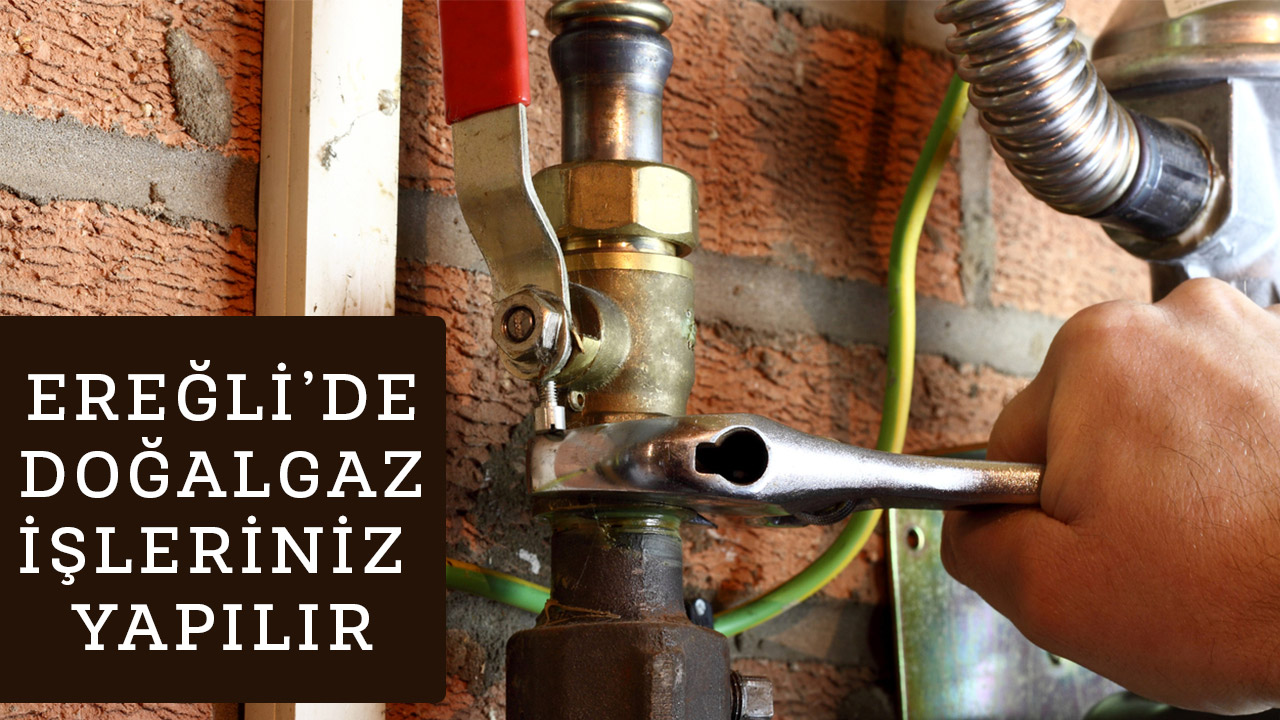 Ereğli Doğalgaz Firması